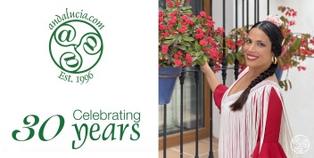 Celebrating 30 years online