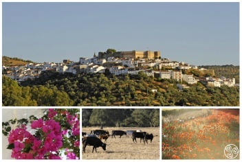 Aroche is a hilltop village, its whitewashed houses flanking the sides of a restored medieval castle. It is surrounded by magnificent countryside rich in wildlife © Michelle Chaplow
