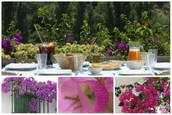 Think Spain, think Bougainvilleas © Michelle Chaplow