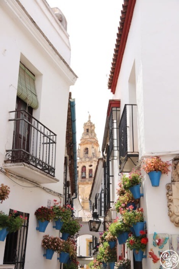A view down Callejón de las Flores © Max Phythian