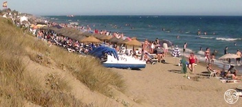 Parts of Playa Alicate are backed by small sand dunes