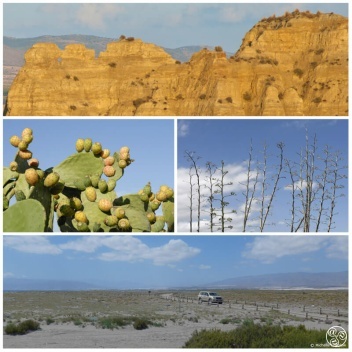 Deserts of Almeria and the mountains of Guadix, Granada. © Michelle Chaplow
