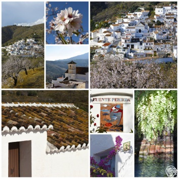 Diamolos Andalucia Spain  © Michelle Chaplow