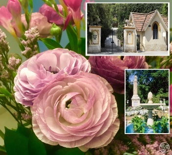 Malaga City - English Cemetery Today © Michelle Chaplow