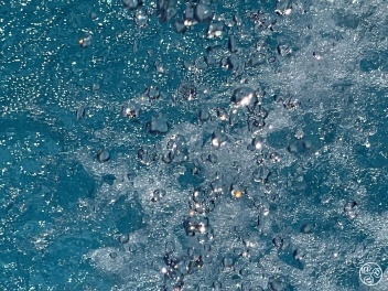 Water shortage News  © Michelle Chaplow