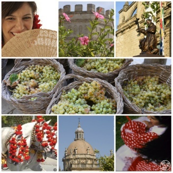 Andalucia.com´s top 10 for Jerez © Michelle Chaplow