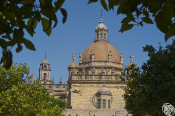 Jerez Cathedral  © Michelle Chaplow