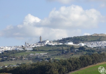 Up on the hill, the village of Medina Sidonia © Michelle Chaplow