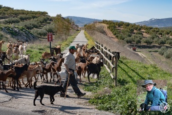 Walking in Andalucia by Guy Hunter Watts main photo @ Michelle Chaplow