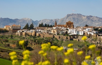 English painter, David Bomberg was totally inspired by the landscapes of Ronda. © Michelle Chaplow