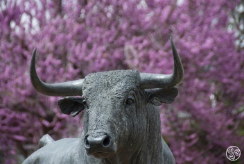 Sculpture to the bull, outside of the Ronda bulling © Michelle Chaplow