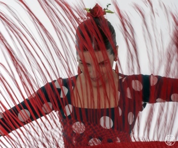 Music and dance from Andalucia. © Michelle Chaplow