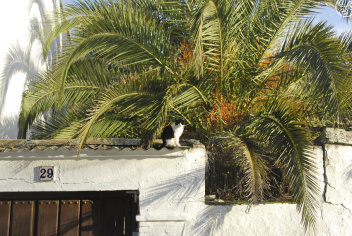 The peaceful streets of Dúdar © Michelle Chaplow