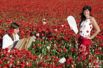 Painters and photographers have long commented on the marvelous clear light 