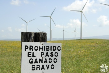 Bull and Horse ranches © Michelle Chaplow