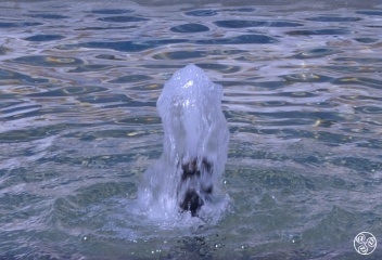 Learn your water vocabulary a - Glossary of water terms in English and Spanish. © Michelle Chaplow