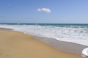 Just look at these idyllic golden sand beaches of El Palmar on the Costa de la Luz! © Michelle Chaplow