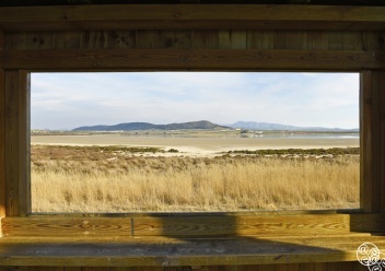 Looking out to the lagoon from the observatory © Michelle Chaplow