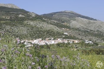The village of Alfarnatejo in the province of Malaga  © Michelle Chaplow