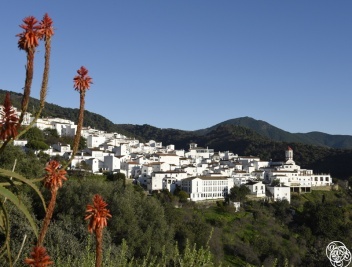 Genalguacil village  © Michelle Chaplow