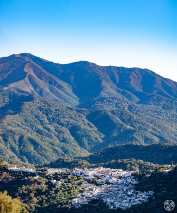Benarraba, nesteled in the Serrania de Ronda © Michelle Chaplow