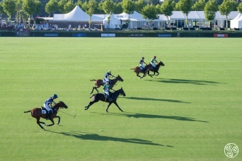  Polo, often dubbed the "sport of kings," is a fast action, team game played on horseback  © Michelle Chaplow