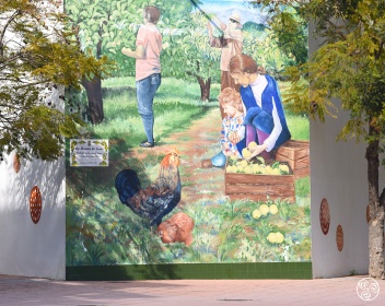 La Huerta de Irene  © Michelle Chaplow