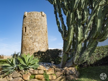 The "newer" beachfront Torre Vigia Arroyo Vaquero, Estepona © Michelle Chaplow