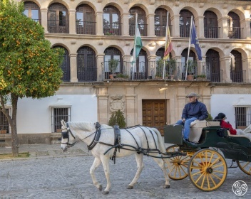 Plaza Duquesa de Parcent Ronda  © Michelle Chaplow