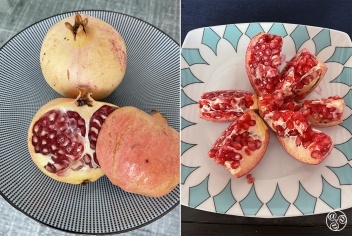The Pomegranate appears on Granada city's coat of arms © Michelle Chaplow