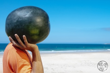 Summer in Andalucia © Michelle Chaplow