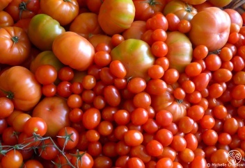 Tomatoes, home grown in Andalucia, Spain. © Michelle Chaplow