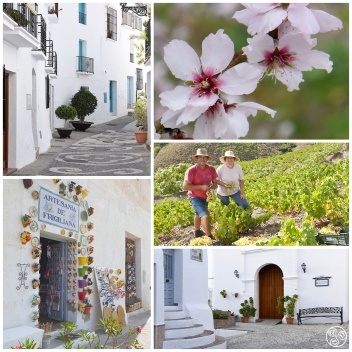 La Axarquia think, dramatic hill and mountain scenery, white washed villages and the strong sweet wine that is made from sun dried grapes © Michelle Chaplow