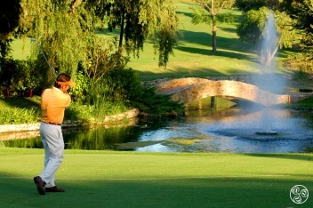 Aloha Golf © Aloha Golf 