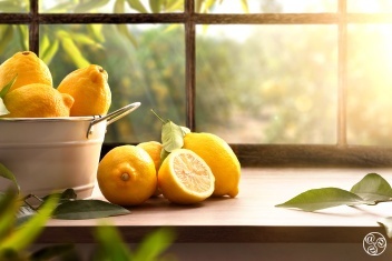 The joy of Spanish lemons © istock