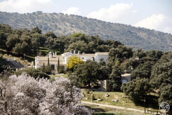 Los Pilares de Ronda © Booking.com