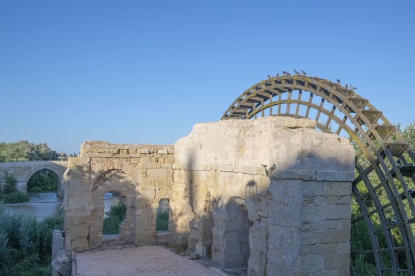 The Albolafia, also known as the Molino de la Albolafia in Spanish ('the Albolafia's mill'), is a medieval noria (or waterwheel) on the Guadalquivir River © Michelle Chaplow