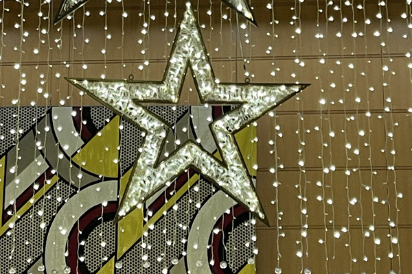 Christmas © Michelle Chaplow