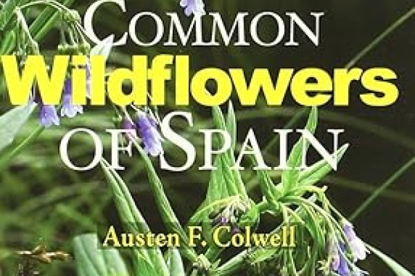  Common Wildflowers of Spain