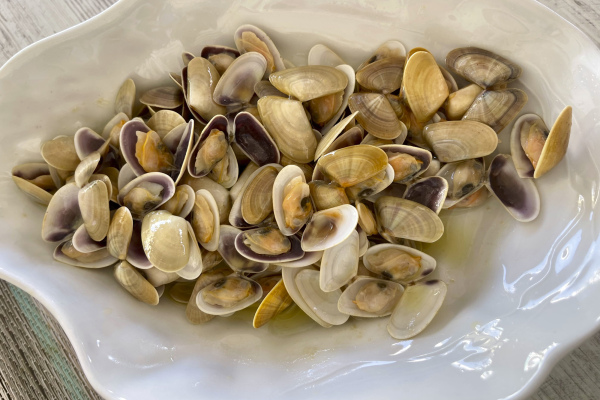 Fresh baby clams often known as coquinas here in Andalucia