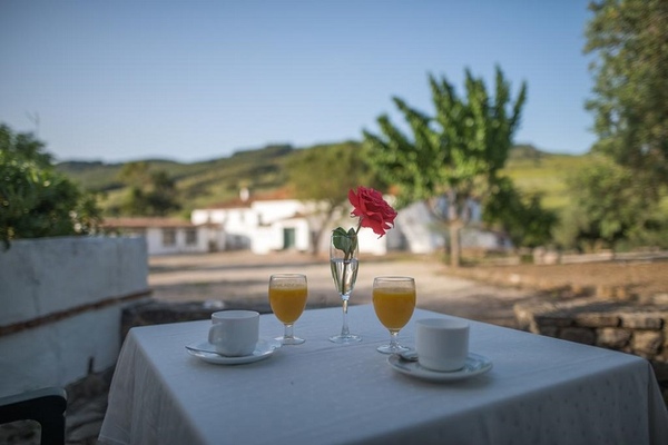 Drinks in the fresh air at El Horcajo Farm © Booking.com / El Horcajo