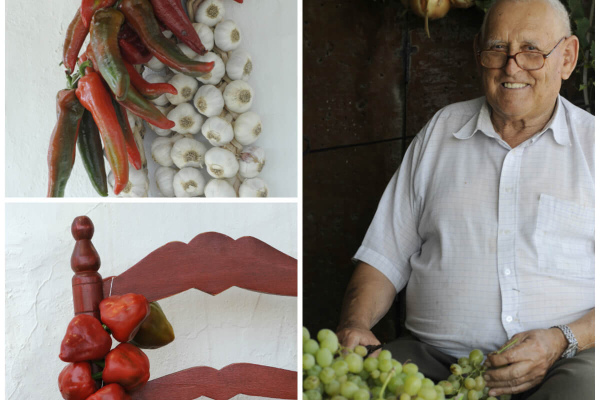 Home grown vines, garlics, peppers and onions © Michelle Chaplow