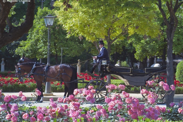 Plaza de América in Sevilla © Michelle Chaplow