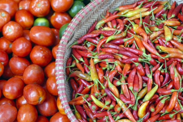 Fresh organic market produce 