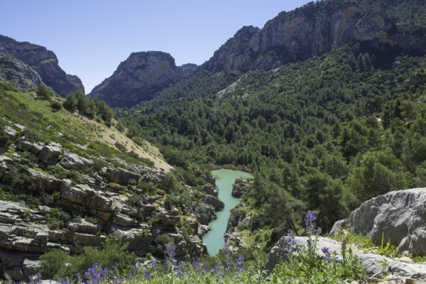 El Chorro a stunningly beautiful turquoise river bordered by pine forests © Michelle Chaplow