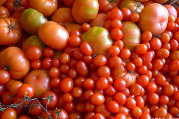 Delicious fresh locally-grown tomatoes
