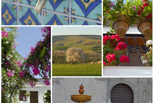 Granada province clockwise: Granada, Bubion, Baza, Salobreña and Alhama © Michelle Chaplow