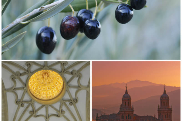 Jaen villages clockwise: Ubeda, Jaen, Baeza © Michelle Chaplow