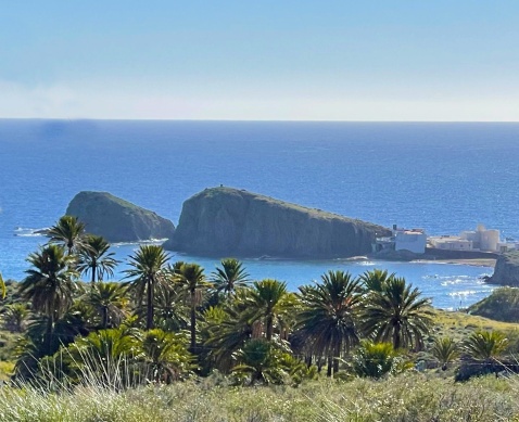 The iconic shape of La Isleta © Michelle Chaplow