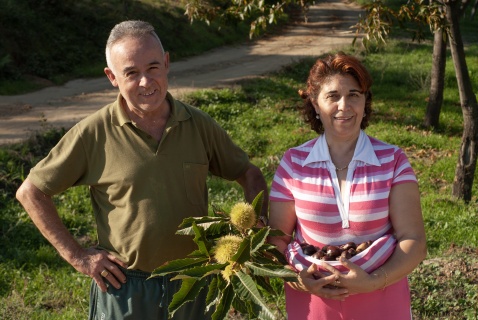 Day trippers Sebastian and Aracile collecting Chestnuts © Michelle Chaplow 